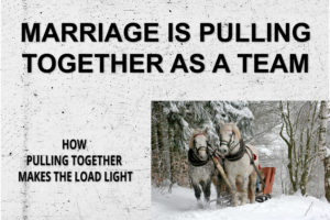 Marriage is Pulling Together